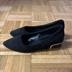 Black Suede Heels with Pointed Toe and Low Block Heel